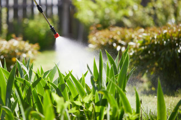 Tamper-Resistant Bait Stations for Rodents in Saranap