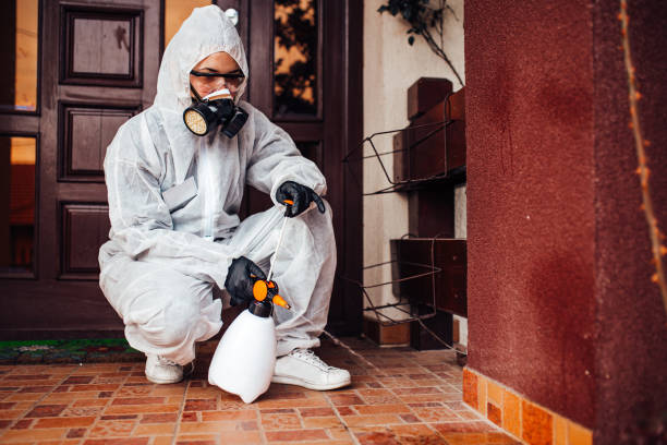 Attic and Crawl Space Rodent Treatment in Saranap